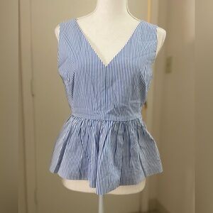 J. Crew Blue and White Fitted Peplum Blouse